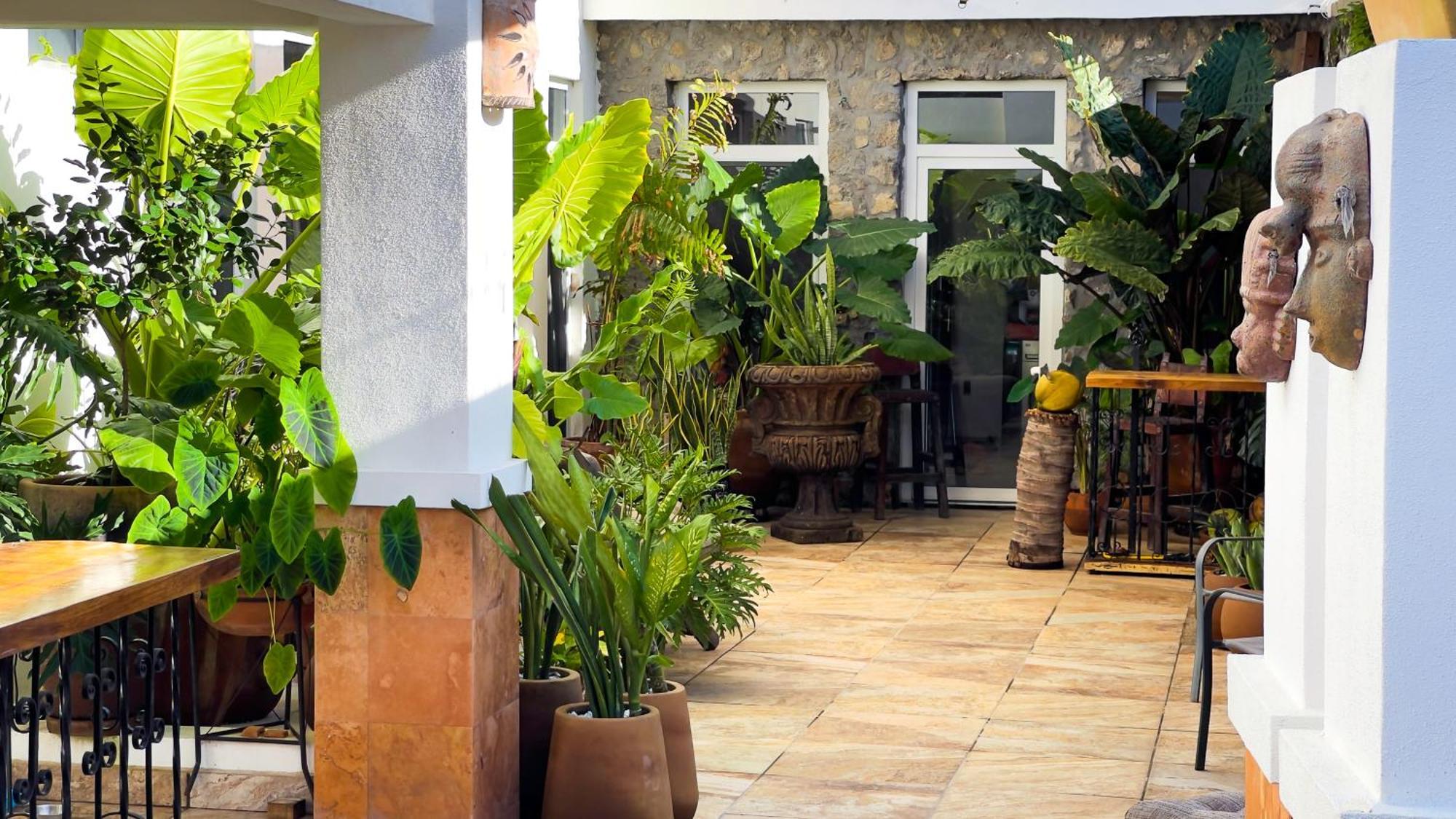 Quinta Alberto Boutique Hotel San Blas Exterior foto